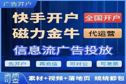 百度竞价排名机制：成功案例与策略探讨